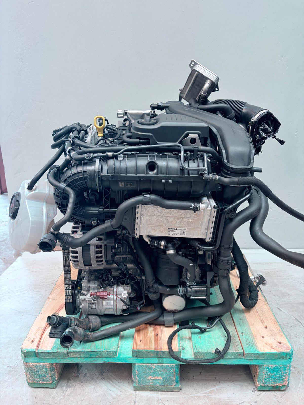wOBWv202178612